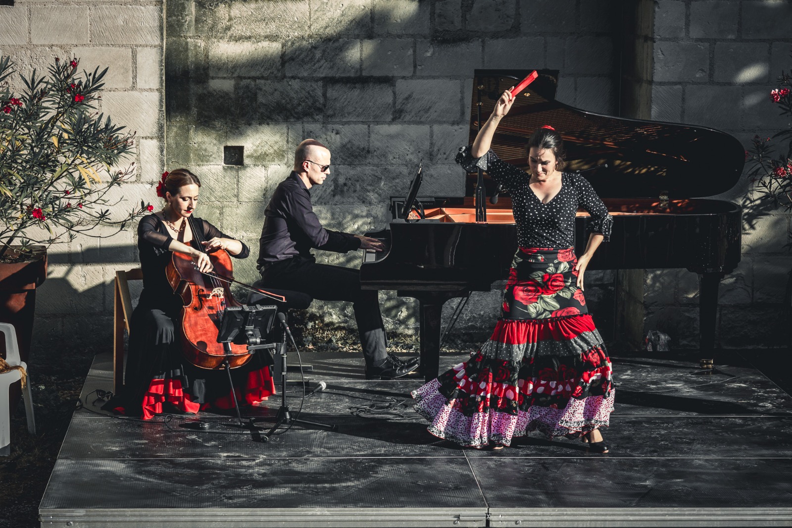 Collaborations Cécile Cappozzo